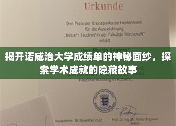 探寻诺威治大学成绩单背后的精彩故事