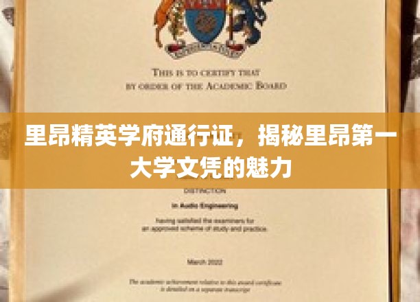 里昂精英学府通行证，揭秘里昂第一大学文凭的独特魅力