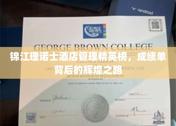 锦江理诺士酒店精英风采，揭秘成绩单背后的璀璨历程