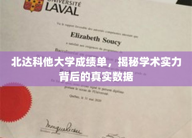 探寻北达科他大学卓越学术实力的秘密数据面纱