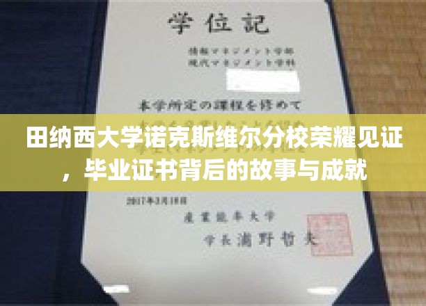 田纳西大学诺克斯维尔分校荣耀见证，毕业证书背后的故事与成就