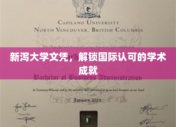 新泻大学证书，开启全球认可的教育之门
