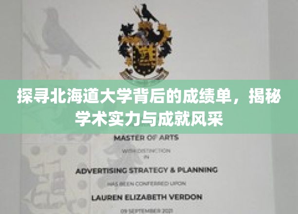 解码北海道大学，卓越成就背后的学术密码