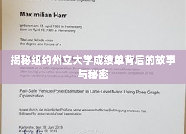 揭开纽约州立大学成绩单的神秘面纱，隐藏的秘密与背后的故事