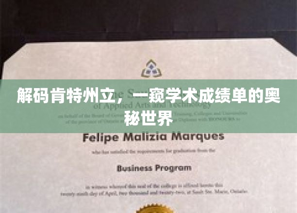 探寻肯特州立大学，揭秘学术成绩单背后的精彩故事