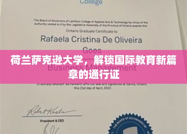 跨越国界，荷兰萨克逊大学开启全球教育新纪元