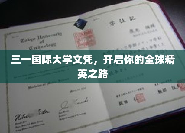 解锁全球精英梦想，三一国际文凭，你的国际化起点