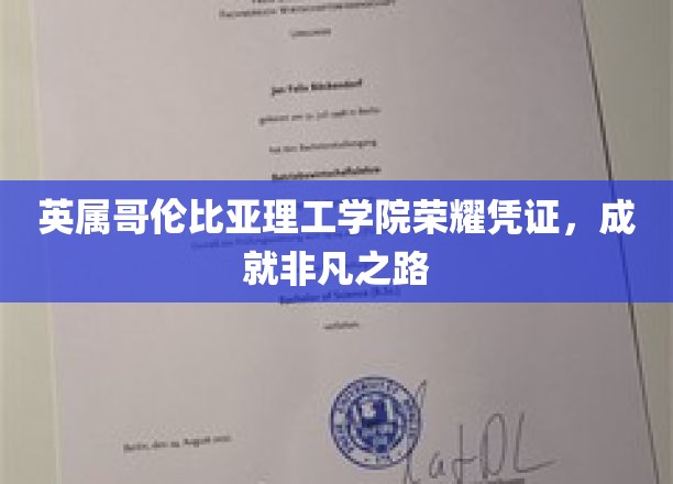 英属哥伦比亚理工学院荣耀见证，非凡旅程的璀璨里程碑