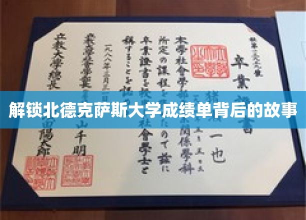 解锁北德克萨斯大学成绩单背后的故事