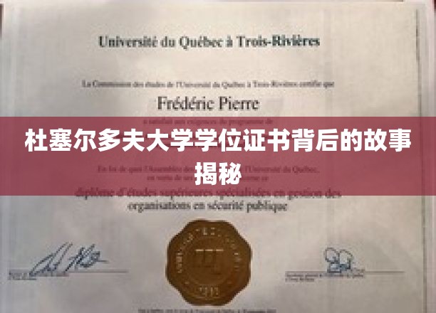 探寻杜塞尔多夫大学学位证书背后的传奇历程