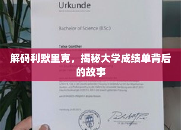解码利默里克,揭秘大学成绩单背后的故事