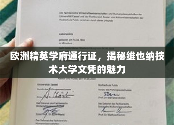 欧洲精英学府通行证,揭秘维也纳技术大学文凭的魅力