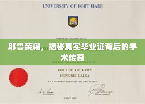 耶鲁传奇揭秘，毕业证书背后的学术辉煌之路