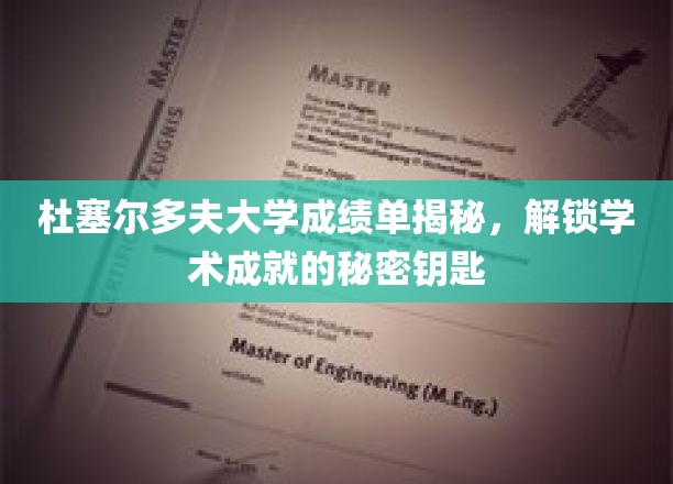 杜塞尔多夫大学成绩单揭秘，解锁学术成就的秘密钥匙