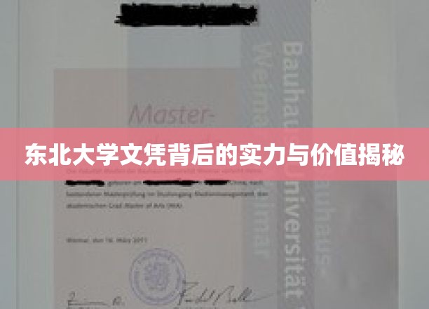 东北名校光环，解读东北大学文凭的深层实力与宝贵价值