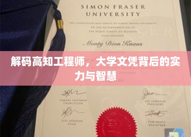 揭开高知工程师的真面目，学历光环下的卓越实力与智慧探索