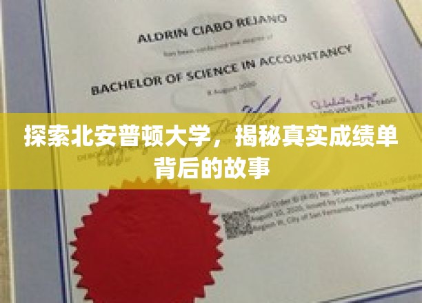 揭开北安普顿大学成绩单的神秘面纱，背后故事大揭秘