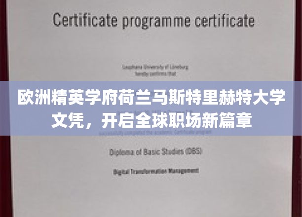 跨国职场通行证，荷兰马斯特里赫特大学文凭引领未来职业飞跃