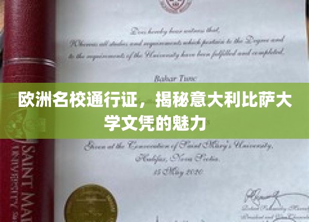 欧洲名校通行证，揭秘意大利比萨大学文凭的魅力