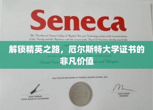 精英通行证，厄尔斯特大学证书的独到魅力