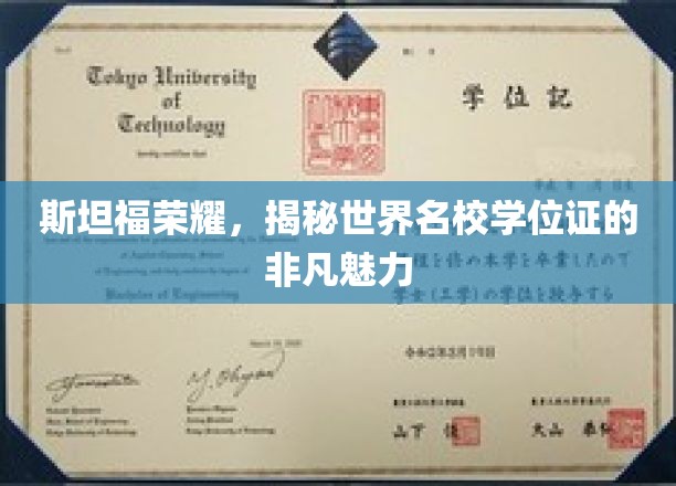 斯坦福学位证背后的传奇魅力，解码世界顶尖学府的荣耀凭证