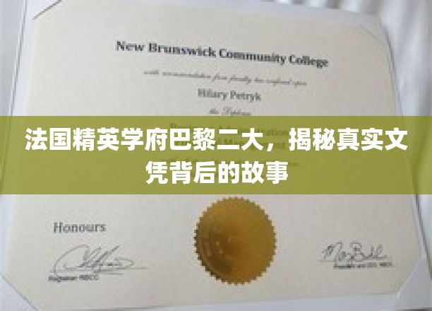 巴黎二大，探寻法国精英学府文凭背后的传奇故事