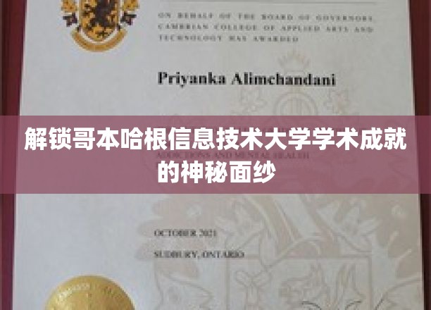 揭开哥本哈根信息技术大学学术成就的神秘面纱