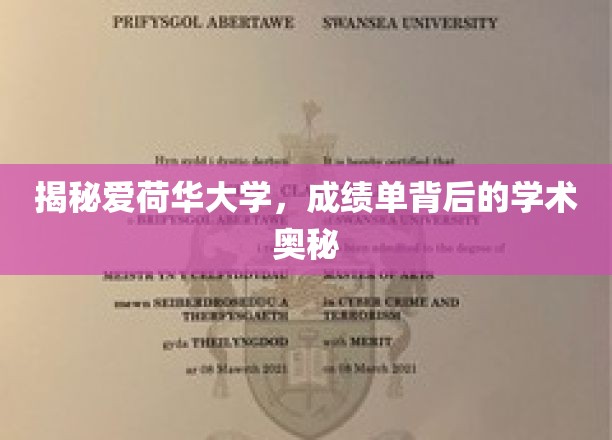 探寻爱荷华大学成绩单背后的学术秘密之旅