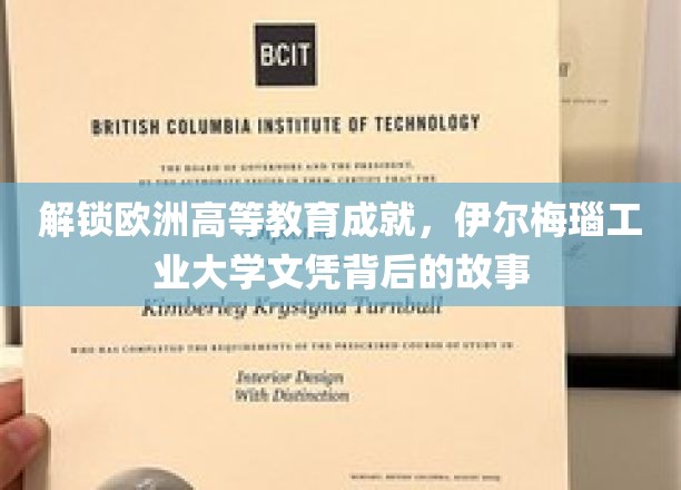 探寻伊尔梅瑙工业大学，欧洲高等教育金牌背后的传奇历程