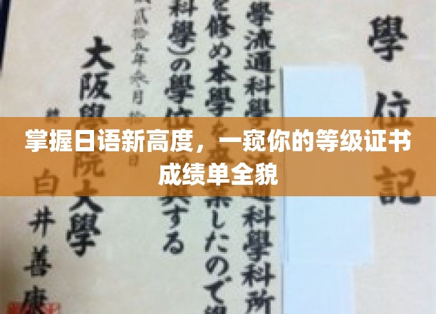 解锁日语达人秘籍，揭秘成绩单背后的等级实力