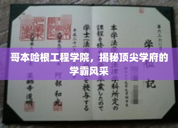 哥本哈根工程学院，揭秘顶尖学府的学霸风采
