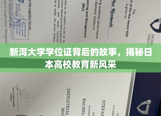 新泻大学学位证背后的故事，揭秘日本高校教育新风采