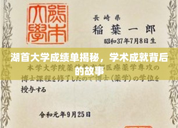湖首大学成绩单揭秘，探究学术成就背后的故事
