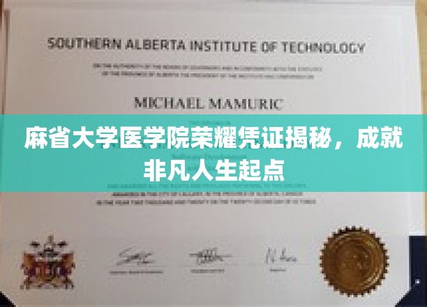 探寻麻省大学医学院荣耀凭证，解锁非凡人生新篇章