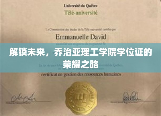 揭开乔治亚理工学院学位荣耀的神秘面纱