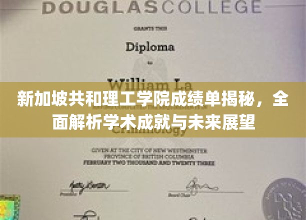 解码新加坡共和理工学院，揭秘成绩单背后的学术实力与职业蓝图