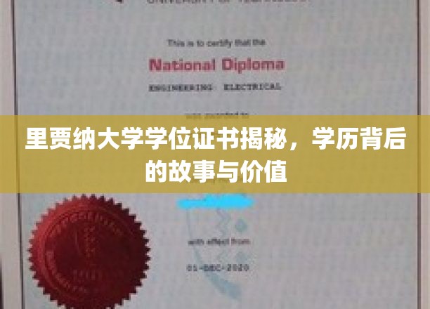 揭开里贾纳大学学位证书的神秘面纱，探寻学历背后的传奇与价值