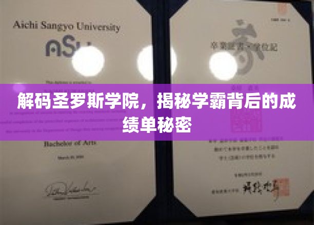 解码圣罗斯学院，一探学霸背后的成绩单奥秘