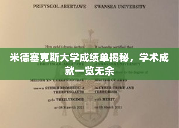 米德塞克斯大学成绩单背后，全面透视学子卓越学术成就