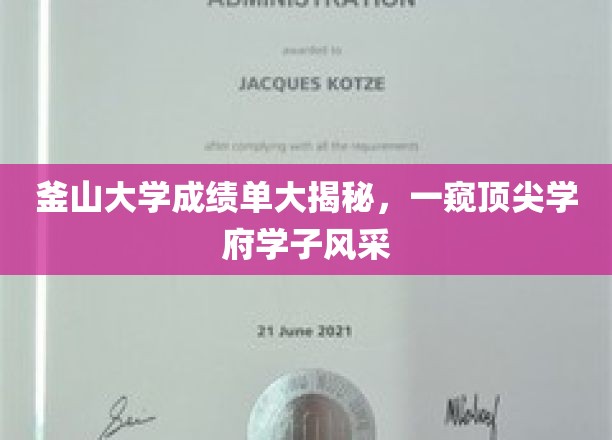 釜山大学成绩单大揭秘，一窥顶尖学府学子风采