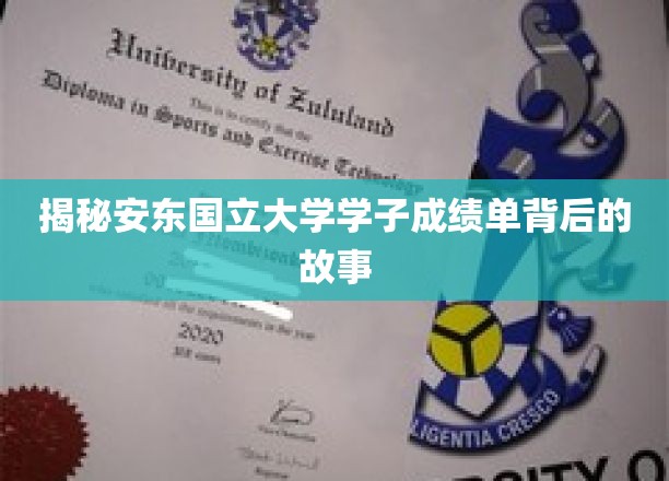 揭秘安东国立大学学子成绩单背后的故事