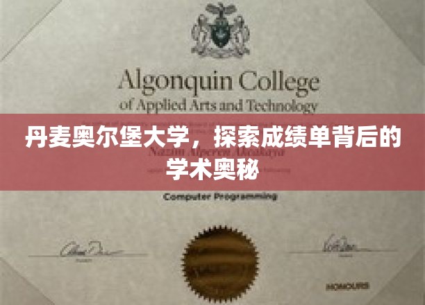 丹麦奥尔堡大学，探索成绩单背后的学术奥秘