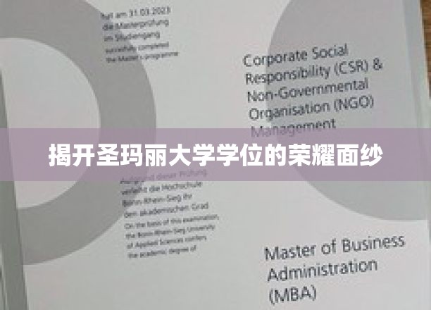 探寻圣玛丽大学学位背后的辉煌传奇