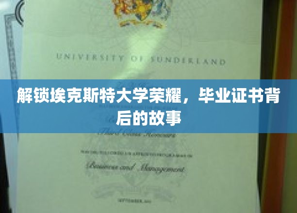 埃克斯特荣耀揭秘，探寻毕业证书背后的传奇故事