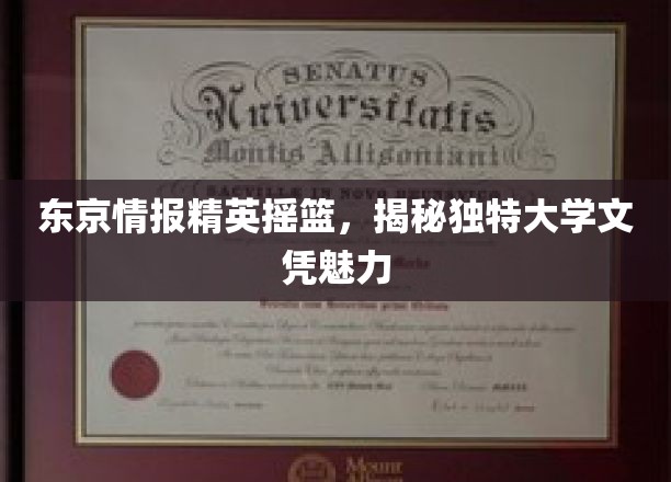 东瀛智库新星，探秘名校文凭的独特吸引力