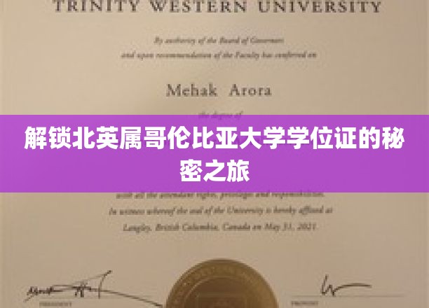 探索加拿大北英属哥伦比亚大学学位证背后的传奇之路