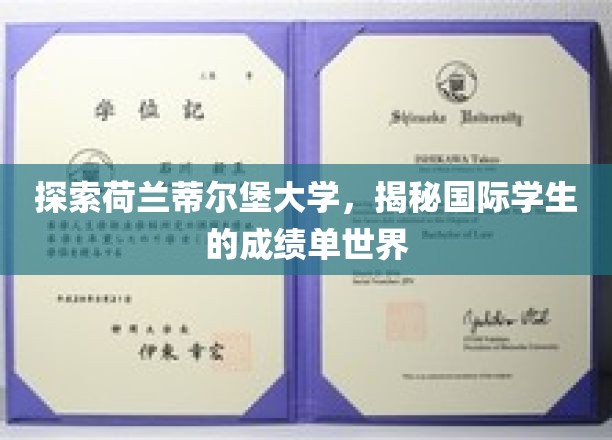荷兰蒂尔堡大学揭秘，国际学生成绩单背后的全球视野