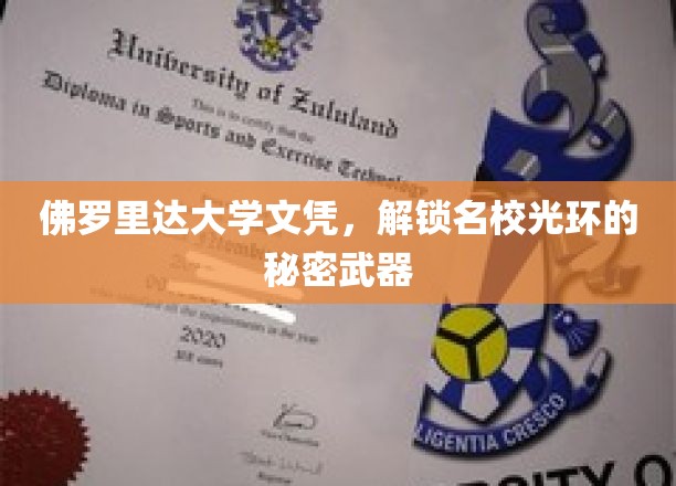 佛罗里达大学文凭，开启名校荣耀的神秘钥匙