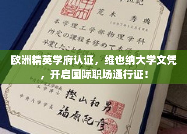 跨国职场新起点，维也纳大学精英认证，国际通行证在手！