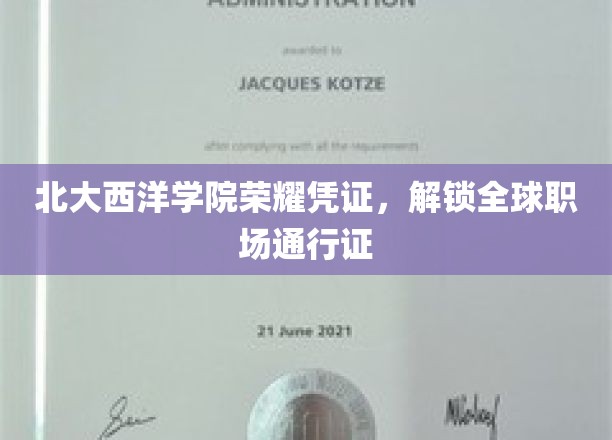 北大西洋学院精英证书，成就全球职场精英之路